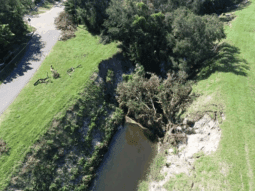 Pinellas County channel example image