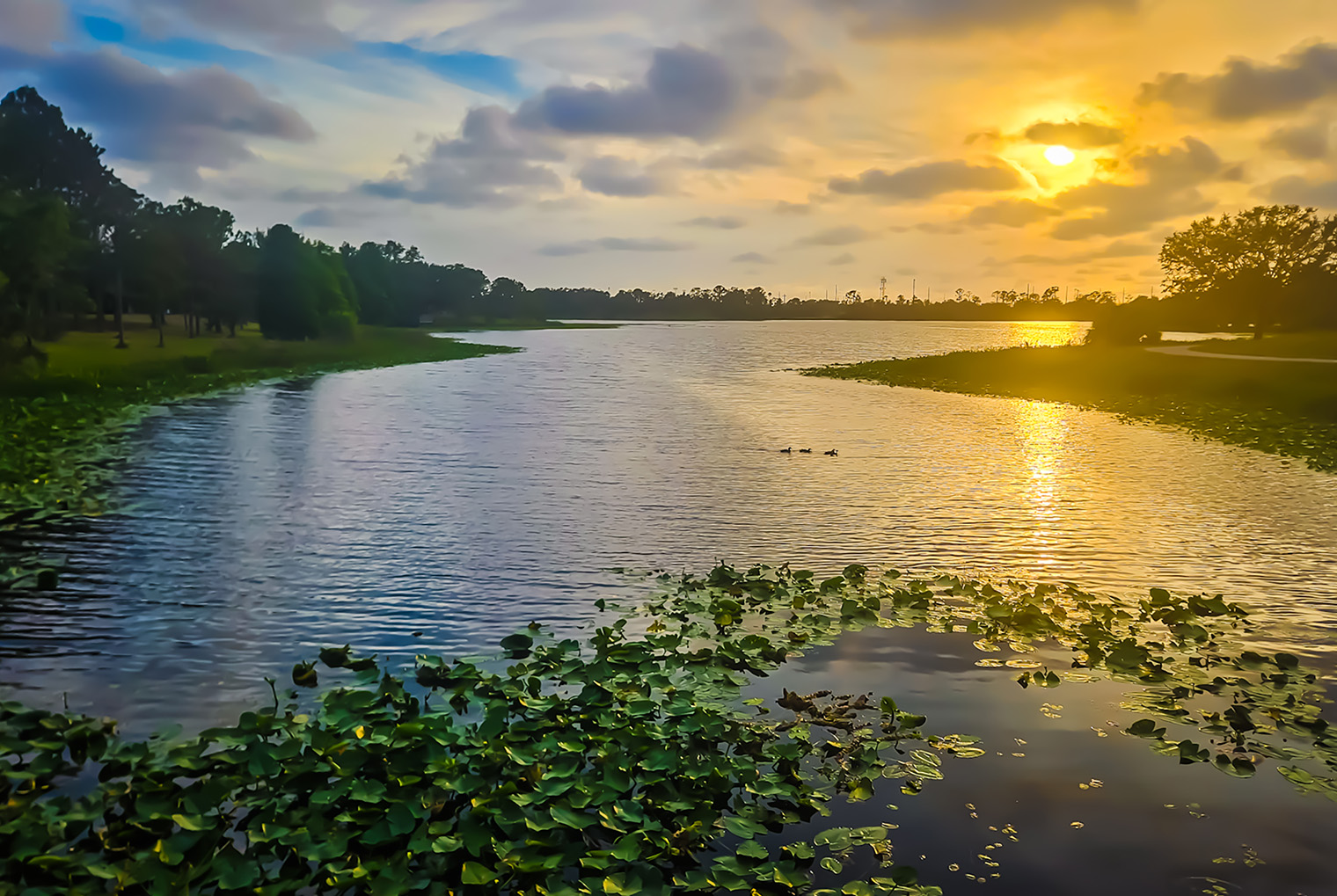 Sunset over the lake at Walsingham park in Pinellas County, Florida