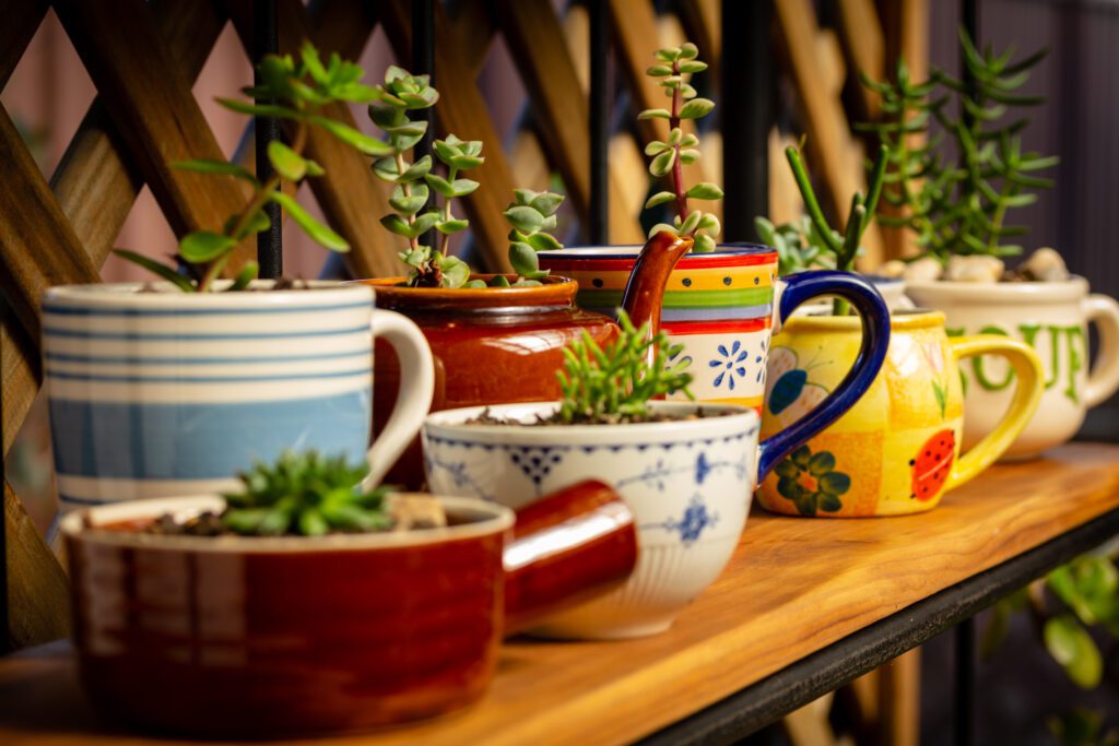 Image of coffee mugs being reused as plant pots. 