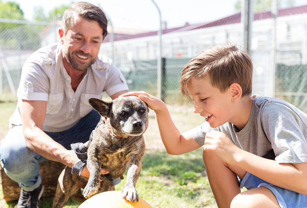 Father and son hugging a dog, symbolizing reaching out to your community to find a lost pet.