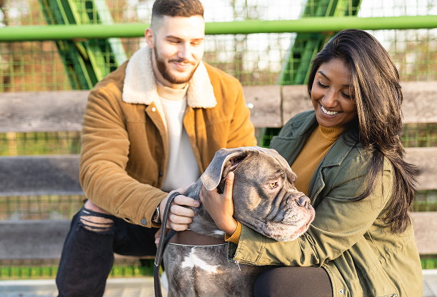 Couple embracing a dog in a fenced yard, illustrating a happy reunion at a shelter or home.