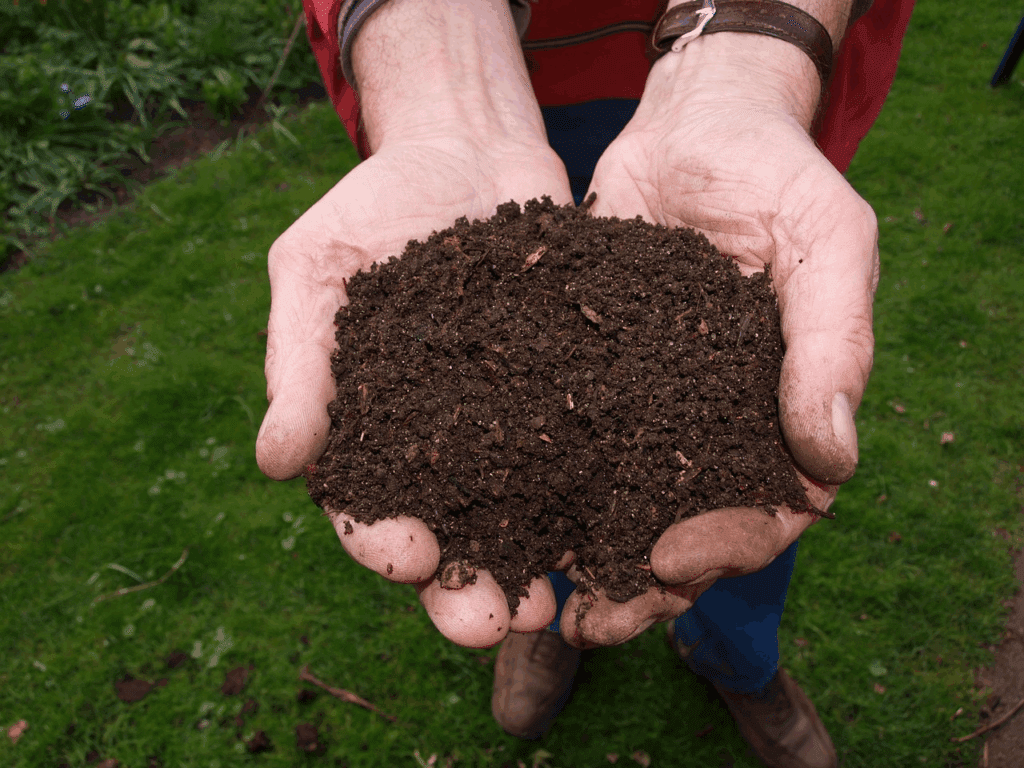 Hands holding composted soil.