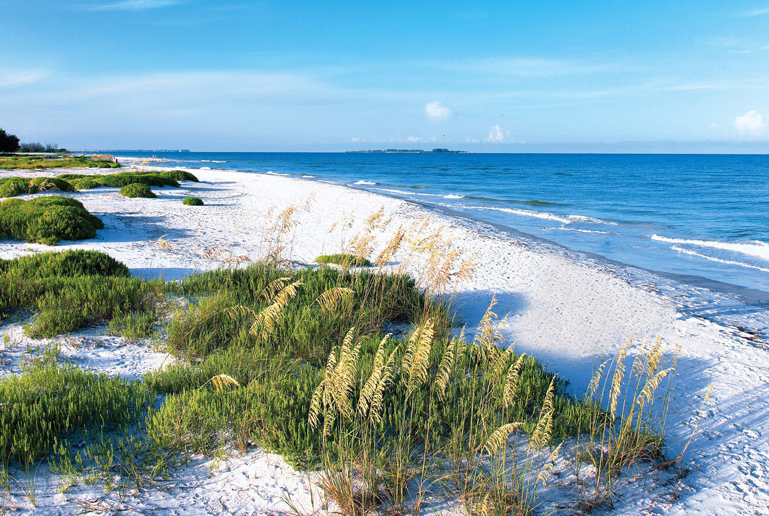 white sand, sea oats and gulf waters at Fort De Soto park in Pinellas County FL