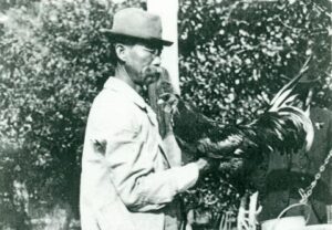 A historic black-and-white photograph showing horticultural pioneer Lue Gim Gong from the side, wearing a hat and light jacket while holding a large, dark-feathered pet rooster in front of lush citrus trees in DeLand, Florida.