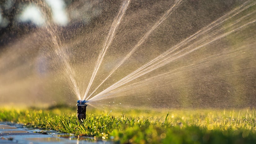 an automatic sprinkler system waters a lawn at sunset