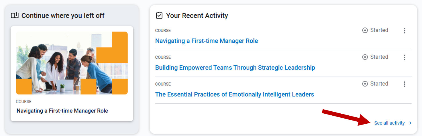 ULearnIT screenshot with the link to See All Activity