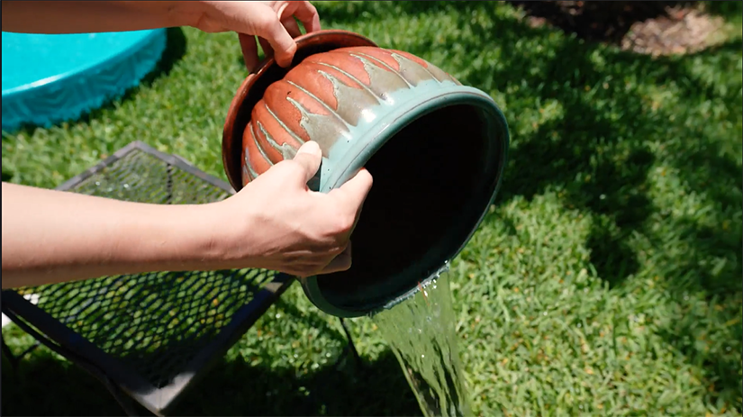 hands emptying water from a flower pot