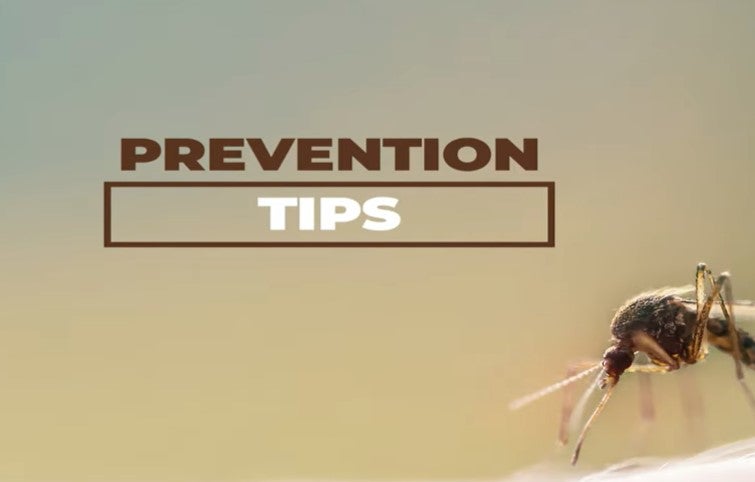 Close-up of a mosquito with the words “Prevention Tips” displayed above.