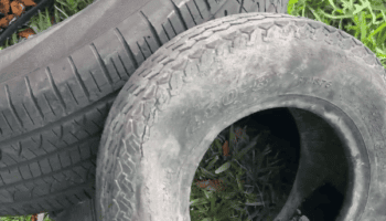 Three tires piled on a lawn with water sitting inside of them