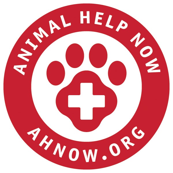 Animal Help Now round logo
